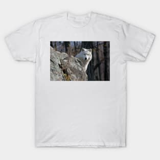 Arctic Wolf T-Shirt